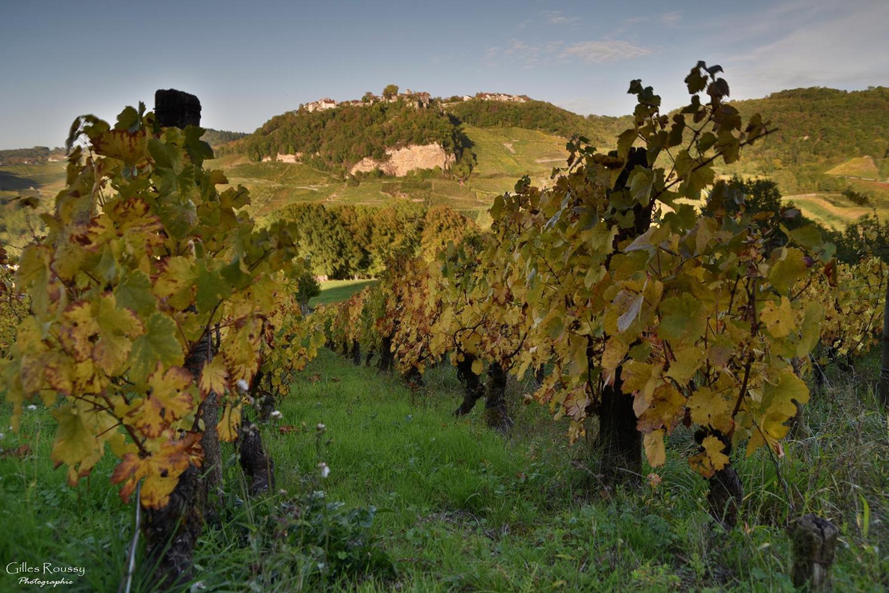 Gite Le Douglas, Vignoble Et Reculees Du Jura - Avec Sauna Lavigny المظهر الخارجي الصورة
